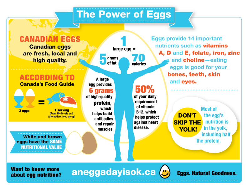 the-power-of-eggs-infographic-egg-farmers-of-canada