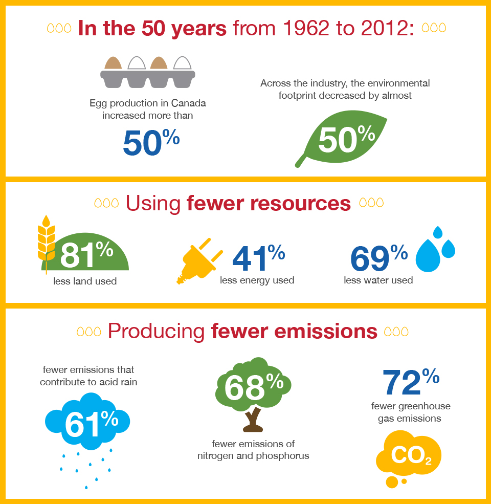 sustainability_infographic_960x985-eng