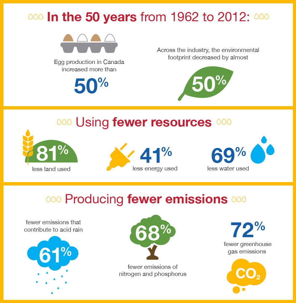 sustainability_infographic_960x985-eng