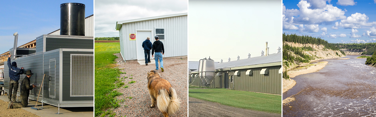 Four unEggspected egg farms | eggfarmers.ca