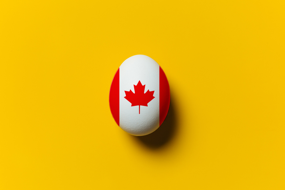 2017_trends_960x641-canada150