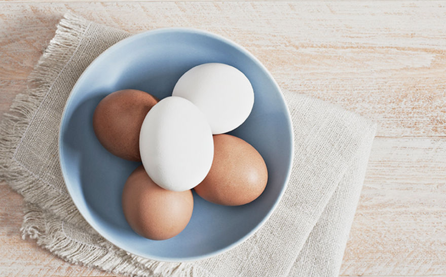 The science behind the highquality protein in eggs