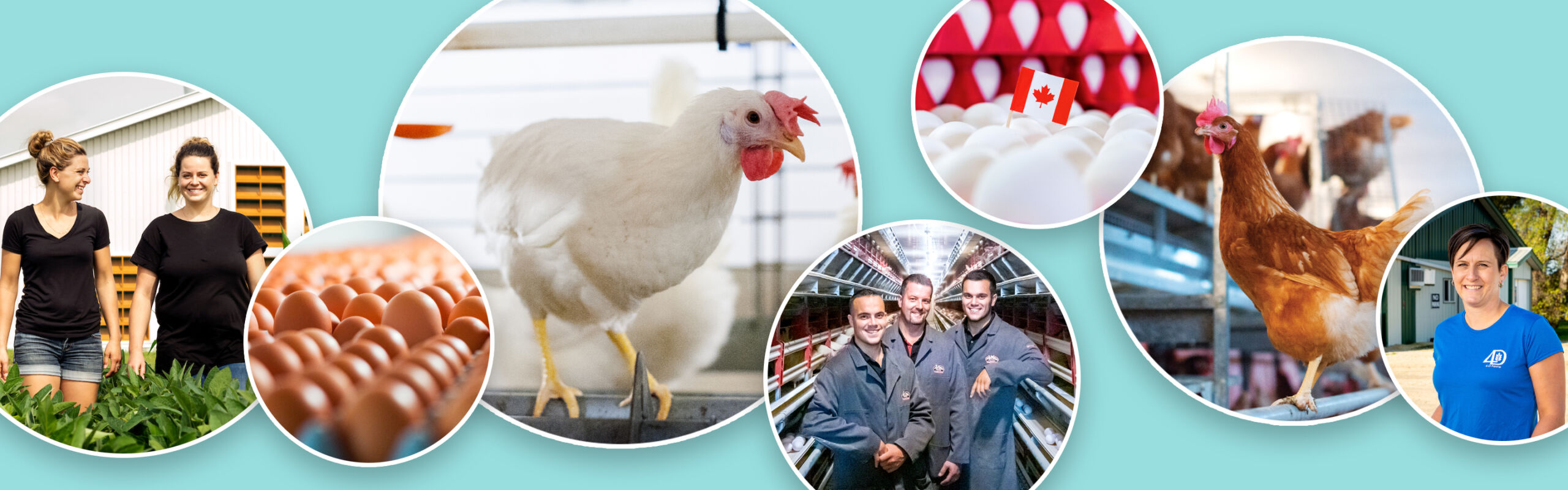 Six things to know about our national Animal Care Program